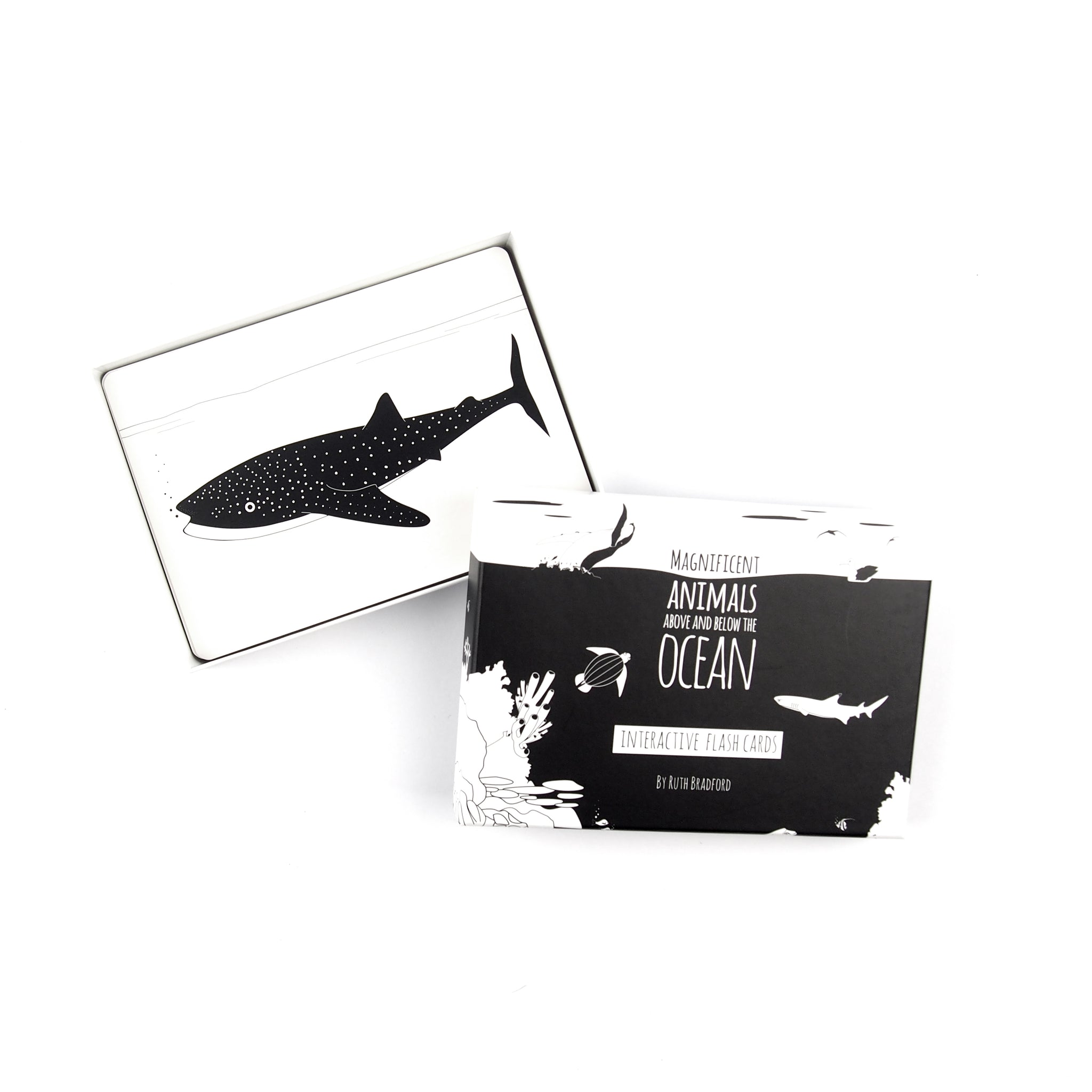 Flash Cards - Magnificent Animals from Above and Below the Oceans