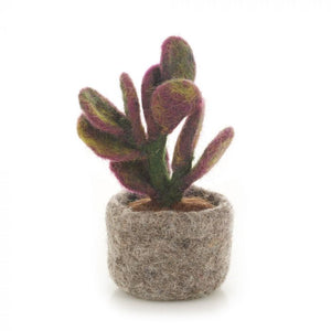 Miniature Plants Decorations